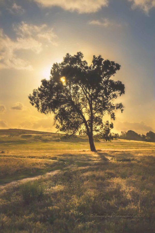 Visit Valley Center, CA Visit Valley Center